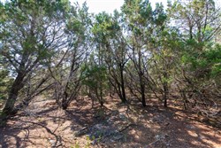 property photo for Heritage Bend Tract 29, 12.83 acres for sale in Taney County, Missouri