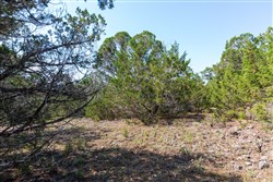 property photo for Heritage Bend Tract 29, 12.83 acres for sale in Taney County, Missouri