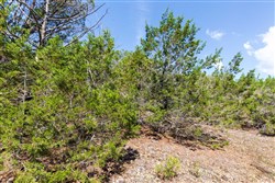 property photo for Heritage Bend Tract 29, 12.83 acres for sale in Taney County, Missouri