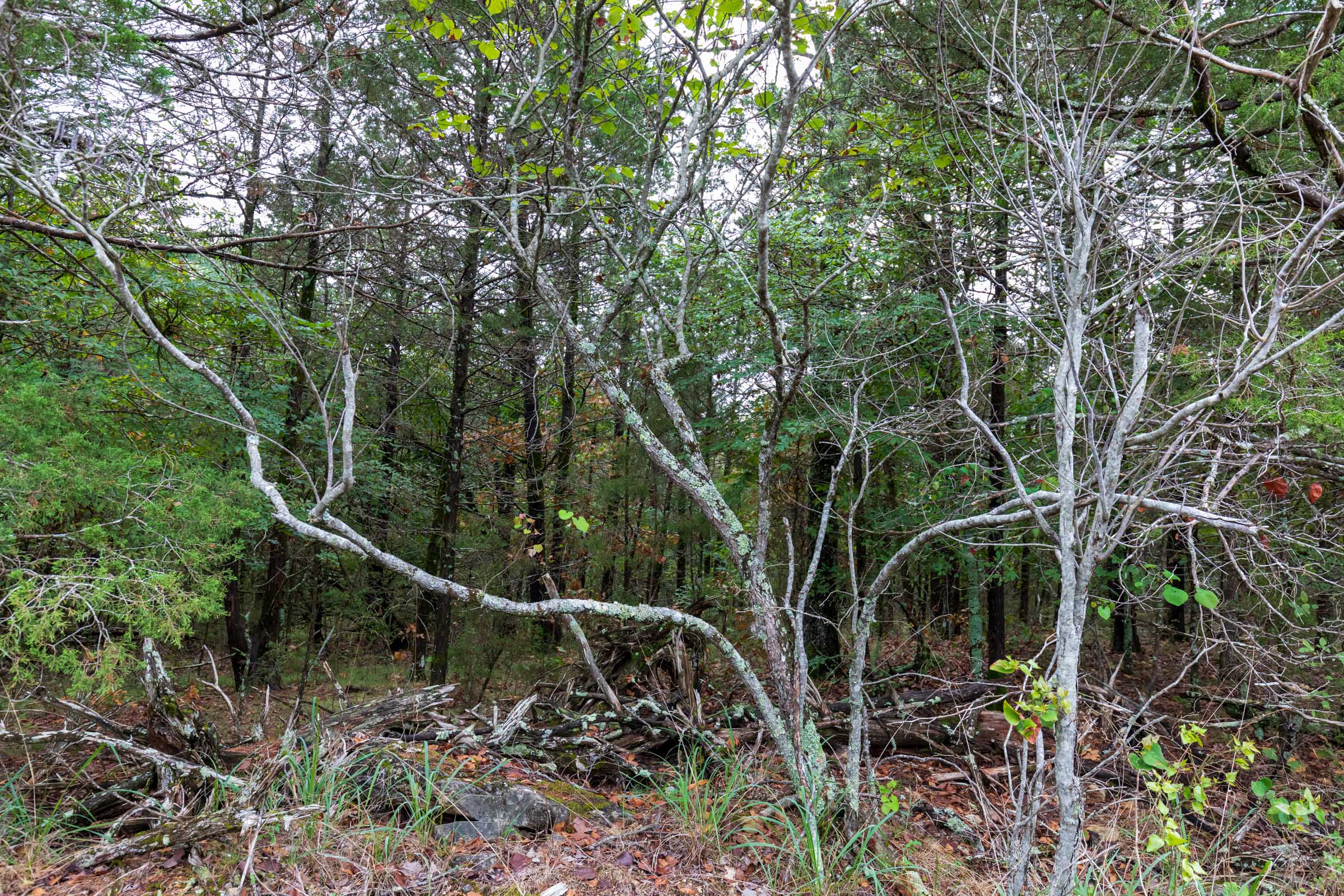 Tract 3 at Heritage Bend in Taney County, Missouri