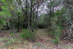 property photo for Heritage Bend Tract 3, 10.18 acres for sale in Taney County, Missouri