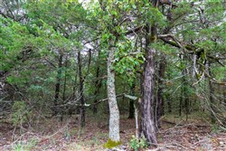 property photo for Heritage Bend Tract 3, 10.18 acres for sale in Taney County, Missouri