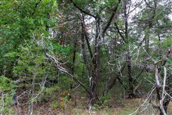 property photo for Heritage Bend Tract 3, 10.18 acres for sale in Taney County, Missouri