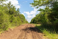 property photo for Heritage Bend Tract 30, 10.55 acres for sale in Taney County, Missouri