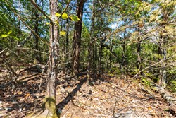 property photo for Heritage Bend Tract 30, 10.55 acres for sale in Taney County, Missouri