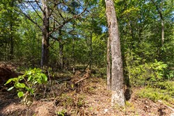 property photo for Heritage Bend Tract 30, 10.55 acres for sale in Taney County, Missouri
