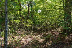 property photo for Heritage Bend Tract 30, 10.55 acres for sale in Taney County, Missouri