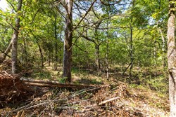 property photo for Heritage Bend Tract 30, 10.55 acres for sale in Taney County, Missouri