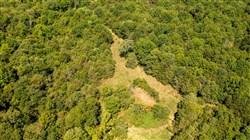 property photo for Heritage Bend Tract 31, 11.53 acres for sale in Taney County, Missouri