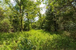 property photo for Heritage Bend Tract 31, 11.53 acres for sale in Taney County, Missouri