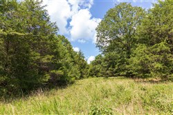 property photo for Heritage Bend Tract 31, 11.53 acres for sale in Taney County, Missouri