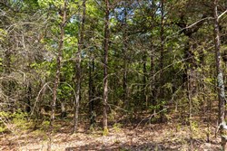 property photo for Heritage Bend Tract 32, 10.62 acres for sale in Taney County, Missouri