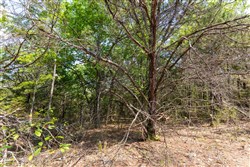 property photo for Heritage Bend Tract 32, 10.62 acres for sale in Taney County, Missouri