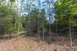 property photo for Heritage Bend Tract 32, 10.62 acres for sale in Taney County, Missouri