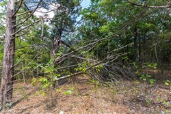 property photo for Heritage Bend Tract 32, 10.62 acres for sale in Taney County, Missouri