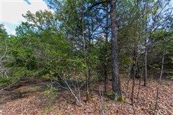 property photo for Heritage Bend Tract 32, 10.62 acres for sale in Taney County, Missouri