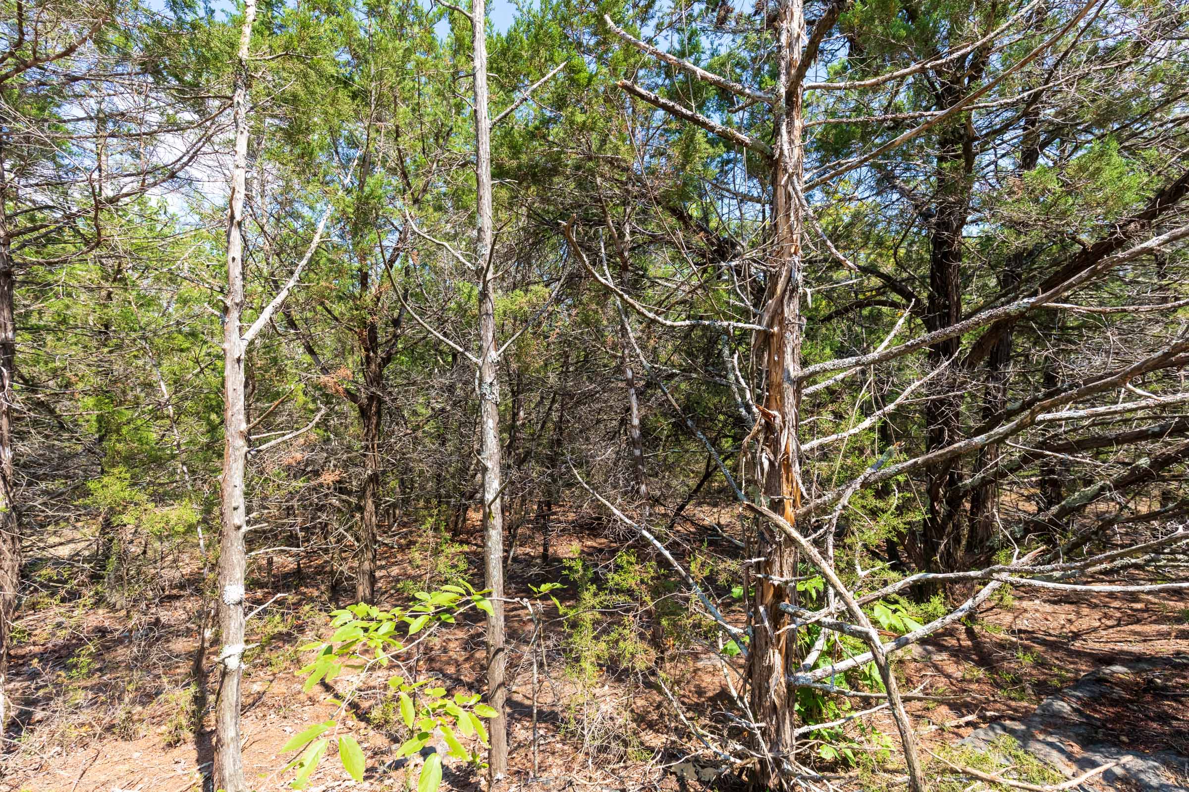 Tract 33 at Heritage Bend in Taney County, Missouri
