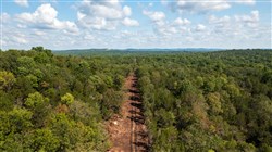 property photo for Heritage Bend Tract 33, 10.5 acres for sale in Taney County, Missouri