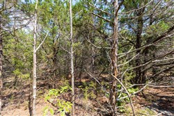 property photo for Heritage Bend Tract 33, 10.5 acres for sale in Taney County, Missouri