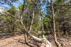 property photo for Heritage Bend Tract 33, 10.5 acres for sale in Taney County, Missouri