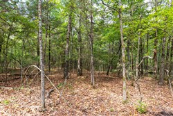 property photo for Heritage Bend Tract 34, 12.61 acres for sale in Taney County, Missouri