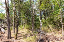 property photo for Heritage Bend Tract 34, 12.61 acres for sale in Taney County, Missouri