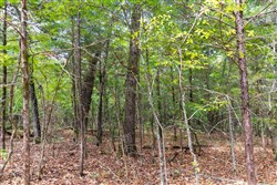 property photo for Heritage Bend Tract 34, 12.61 acres for sale in Taney County, Missouri