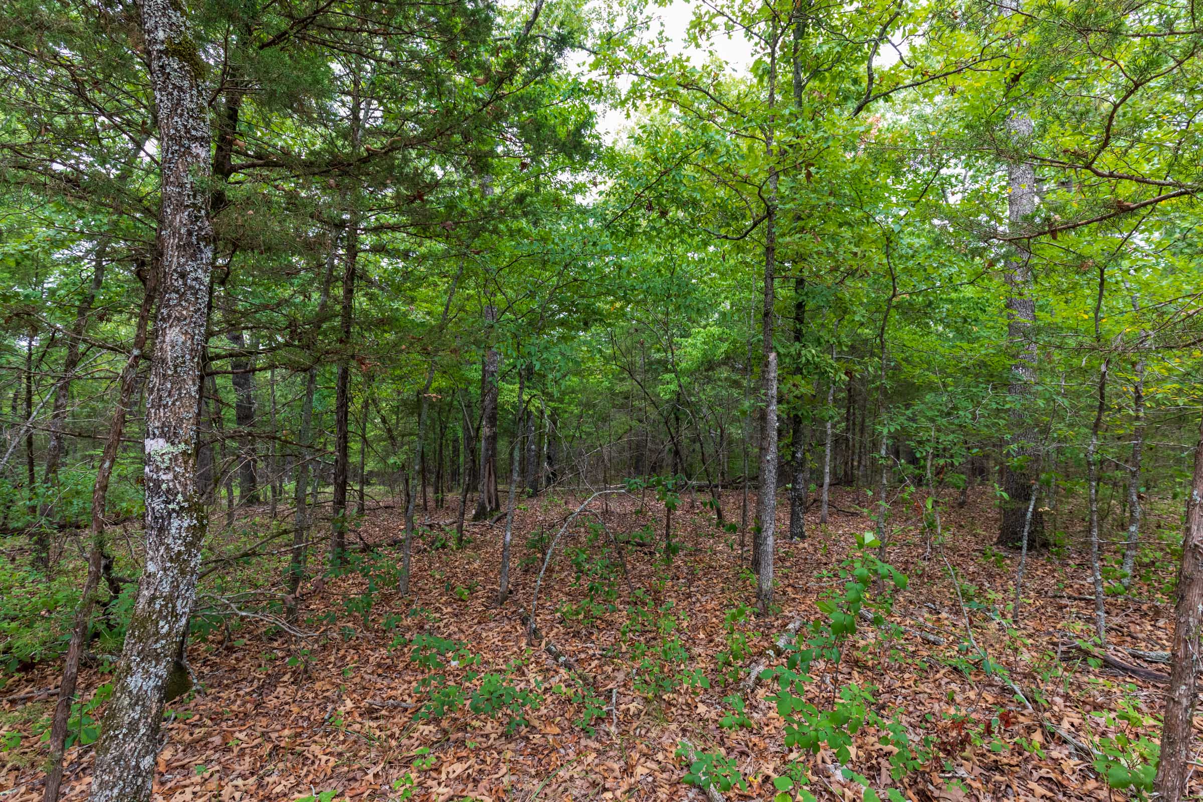 Tract 36 at Heritage Bend in Taney County, Missouri