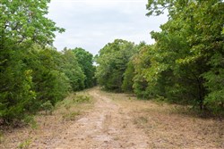 property photo for Heritage Bend Tract 36, 13.28 acres for sale in Taney County, Missouri