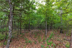 property photo for Heritage Bend Tract 36, 13.28 acres for sale in Taney County, Missouri