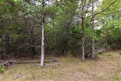 property photo for Heritage Bend Tract 36, 13.28 acres for sale in Taney County, Missouri