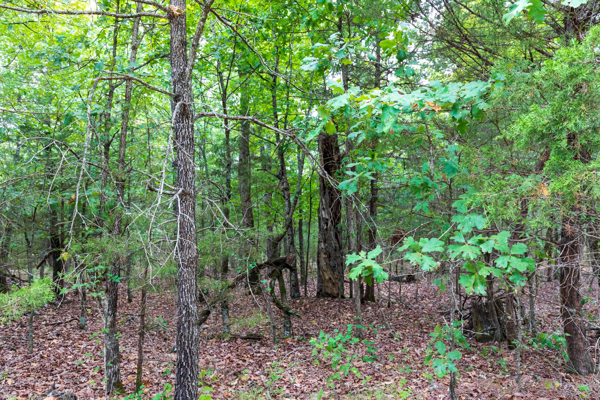 Tract 37 at Heritage Bend in Taney County, Missouri