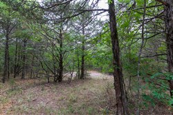 property photo for Heritage Bend Tract 37, 13.04 acres for sale in Taney County, Missouri