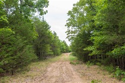 property photo for Heritage Bend Tract 37, 13.04 acres for sale in Taney County, Missouri