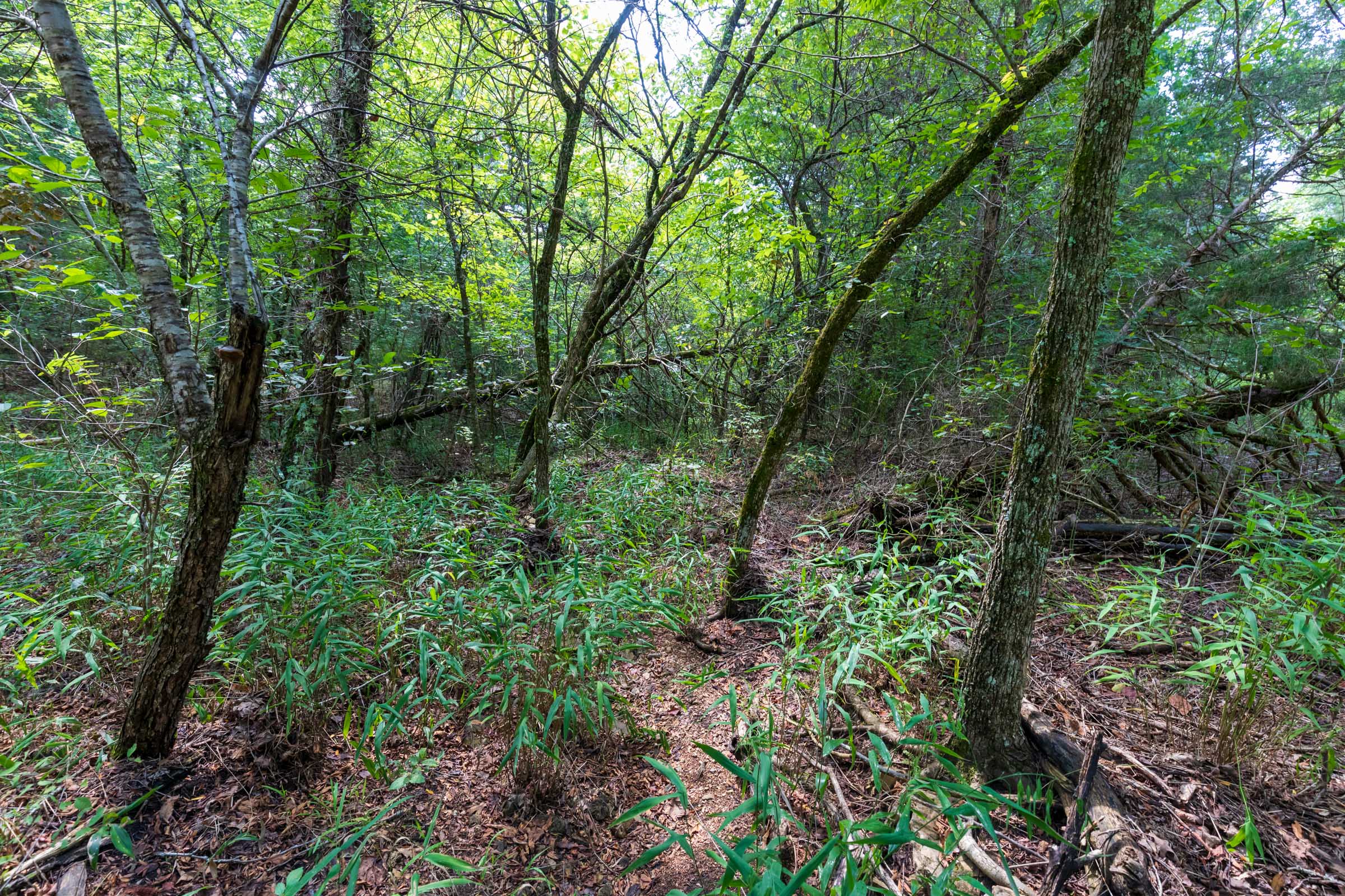 Tract 38 at Heritage Bend in Taney County, Missouri
