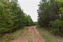 property photo for Heritage Bend Tract 38, 12.5 acres for sale in Taney County, Missouri