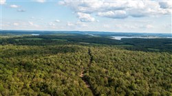 property photo for Heritage Bend Tract 38, 12.5 acres for sale in Taney County, Missouri