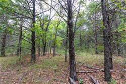 property photo for Heritage Bend Tract 38, 12.5 acres for sale in Taney County, Missouri