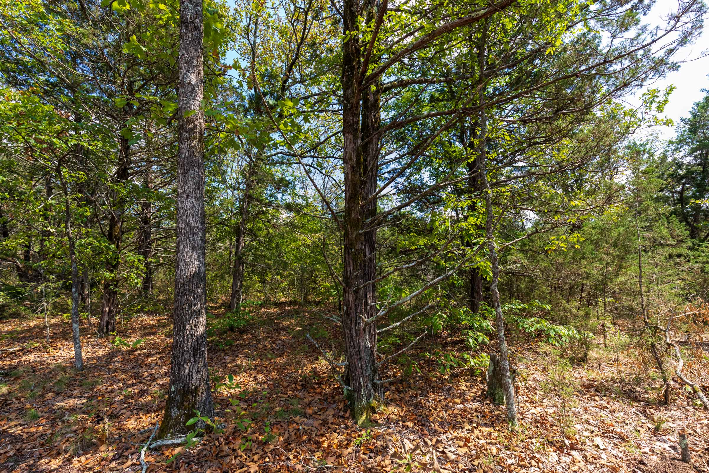 Tract 39 at Heritage Bend in Taney County, Missouri
