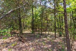 property photo for Heritage Bend Tract 39, 10.85 acres for sale in Taney County, Missouri