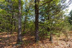 property photo for Heritage Bend Tract 39, 10.85 acres for sale in Taney County, Missouri