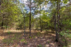 property photo for Heritage Bend Tract 39, 10.85 acres for sale in Taney County, Missouri