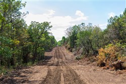 property photo for Heritage Bend Tract 39, 10.85 acres for sale in Taney County, Missouri