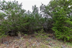 property photo for Heritage Bend Tract 4, 10.03 acres for sale in Taney County, Missouri