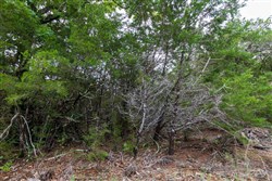 property photo for Heritage Bend Tract 4, 10.03 acres for sale in Taney County, Missouri