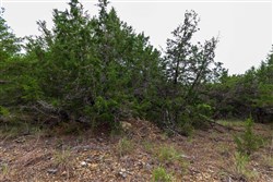 property photo for Heritage Bend Tract 4, 10.03 acres for sale in Taney County, Missouri