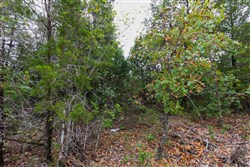 property photo for Heritage Bend Tract 4, 10.03 acres for sale in Taney County, Missouri