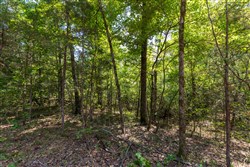 Heritage Bend Tract 40