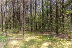 Heritage Bend Tract 40