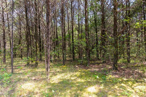 Heritage Bend Tract 40